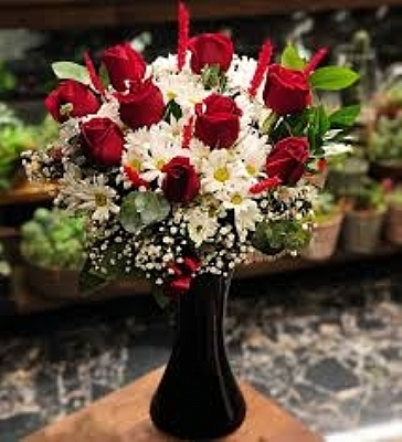 Gl ve Papatya Arajman